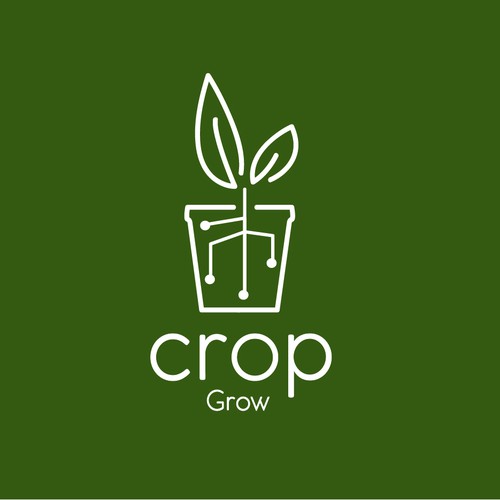  contest entry by anassdes