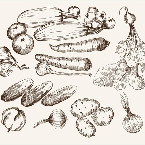 veggie-illustration3 [Converted].jpg