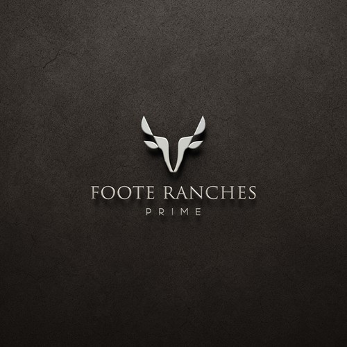 Help us design a high-end, luxury Beef brand for world-class steakhouses. Design by Catalin T.