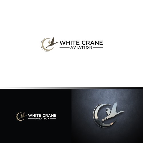 Logo for a Safe and Modern Aircraft rental company Design by ybur10