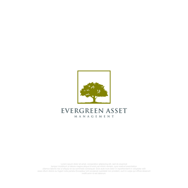 Diseño de Aqile* titulado "Evergreen Asset Management"