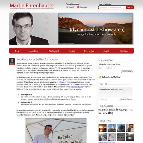 Wordpress Theme for MEP Martin Ehrenhauser Diseño de Team Kittens
