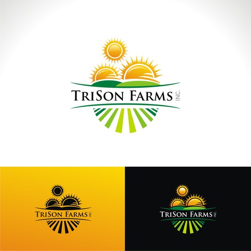 Create a modern logo incorporating 3 suns/agriculture for a well known Canadian marketing company Diseño de heosemys spinosa