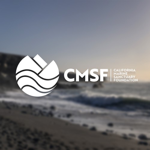 Logo design for environmental foundation operating along the California coast, between land and sea Design by Stefan Alfonso