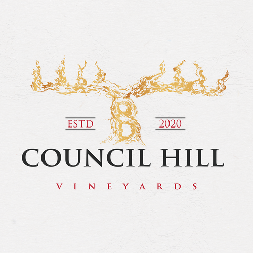 Logo design contest entry by LucaToni