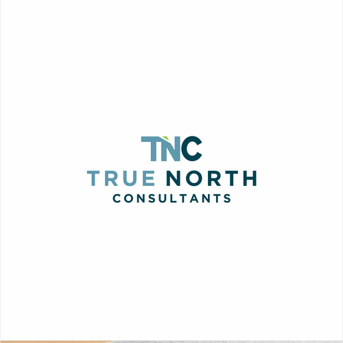 True North Consultants Design by karahayon