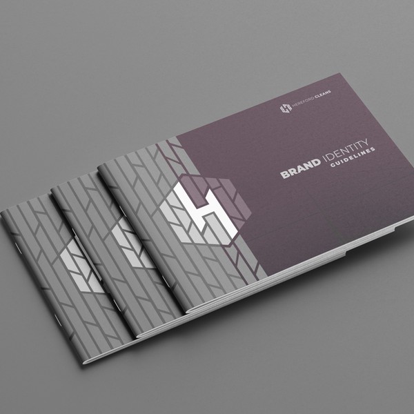 Design by rikiraH titled "Brand Identity Guidelines for an Exterior Cleaning and Restoration Company"
