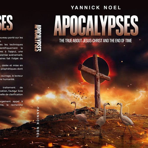 Book cover contest entry by Evocative ✘