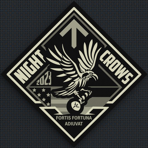 NIGHT CROWS - Military Special Operations Unit Logo design contest - GER/US Design by Sasha Løft