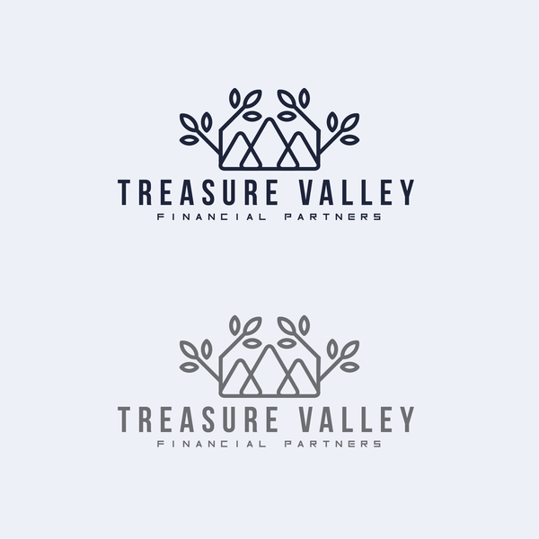 Treasure Valley Financial Partners