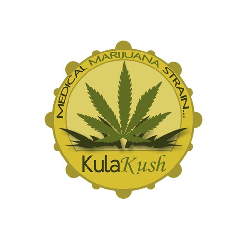 Create the next Logo for the Kula Kush Marijuana strain Design by hama89