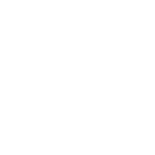 SV Logo White (2).png