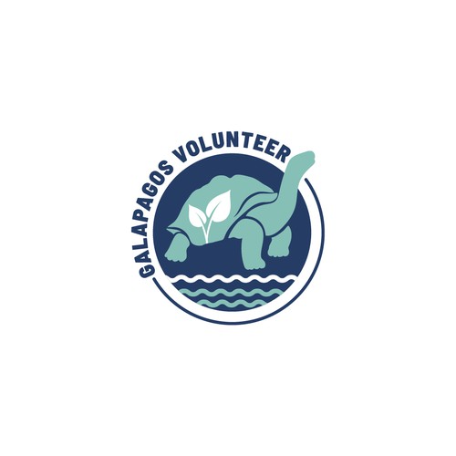  contest entry by Debbie Gray