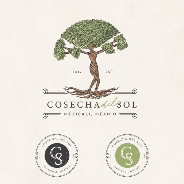 Cosecha del sol 🔆 🌱