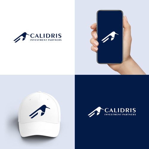 New Private Investment Firm Design by bo_rad