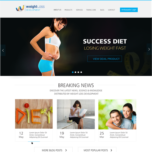 GUARANTEED winner! Design the website of a RISING STAR company! Design by Vishera