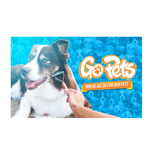 480 平面设计ideas  pet branding, pet advertising, animal infographic