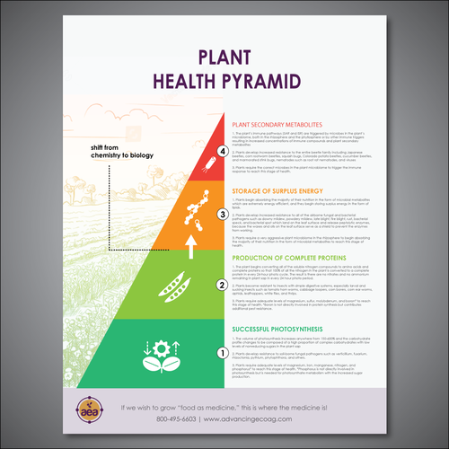 Design a Plant Health Pyramid Infographic | concurso Infográfico