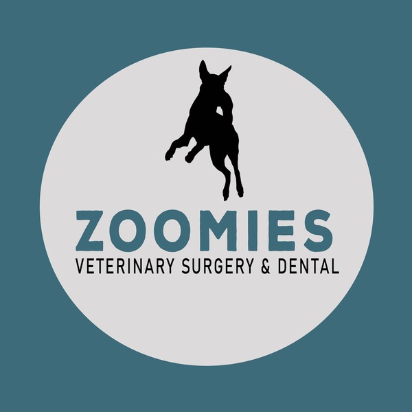 Veterinary surgery 