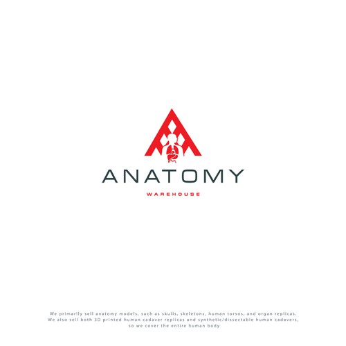 Anatomical Model Co. Looking for Creative, Modern Yet Timeless Logo With Human Anatomy Design by adisign09