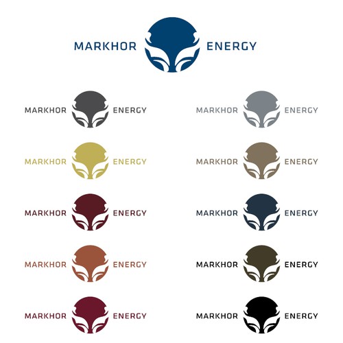 Create a distinctive logo for a environmentally responsible power generation company Design by Vedro