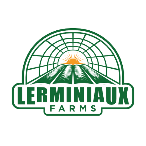 Modern/Abstract logo for small upstate NY vegetable farm. Design by metaXsu