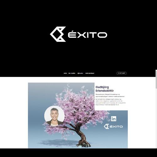 Otros diseños propuesta en el concurso por ArunPrem