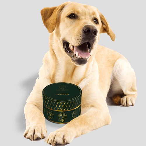 Innovative packaging design for luxury dog collar and leash set ...