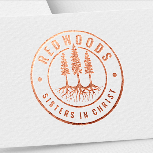 Design powerful imagery of Redwood tree roots that speak to Christian women small groups Design by Dazuke™