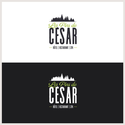  contest entry by Berni_Smooth