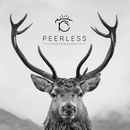 Need a stylish professional logo Design by reflect the style