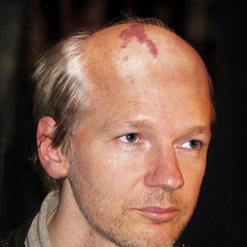 Design the next great hair style for Julian Assange (Wikileaks) Design by Perge