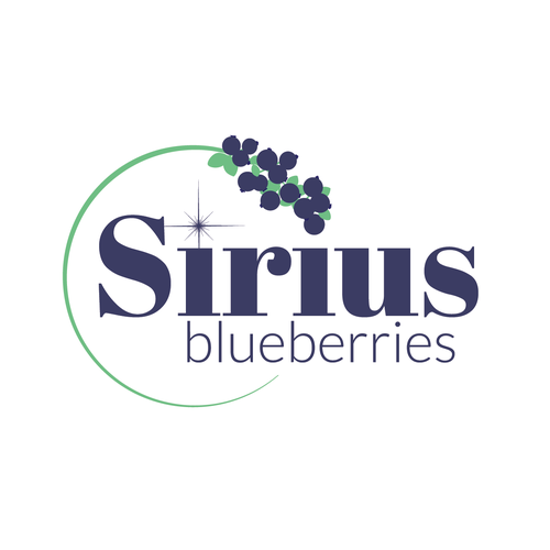 Create logo for a Maine Blueberry company | Logo design contest