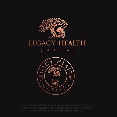 Logo & manual da marca proposta de design por vraione