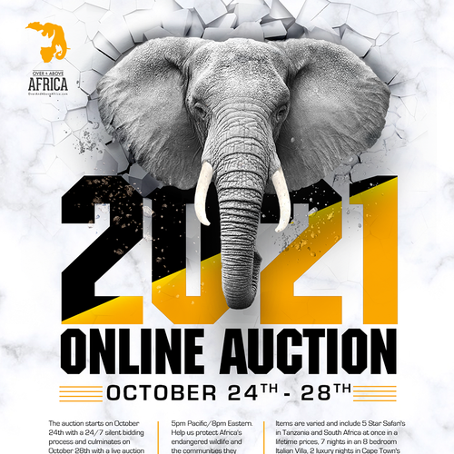 online auction flyer