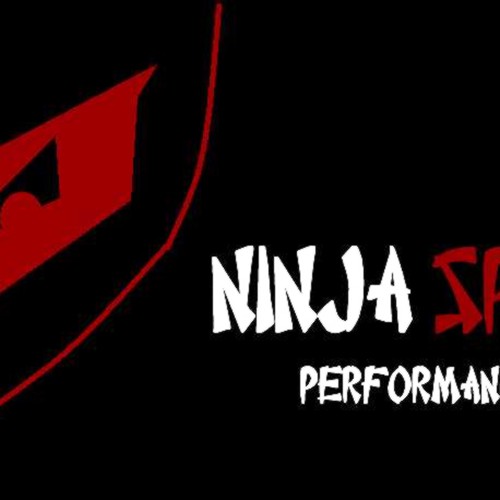 New logo wanted for ninja sports performance, llc