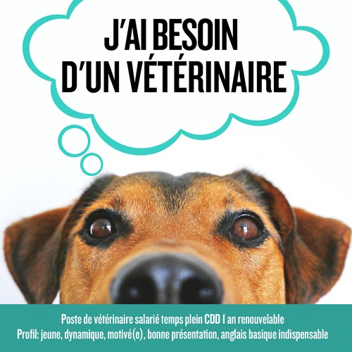 Other design contest entry by ⚡️AnaPutka