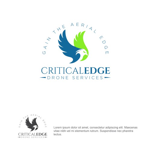 We need a logo design for new Drone inspection and survey company Design by hasnagraphics