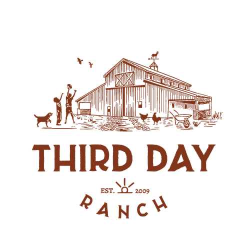 Capture essence of Texas ranch experience in new Third Day Ranch logo Diseño de Nevermura