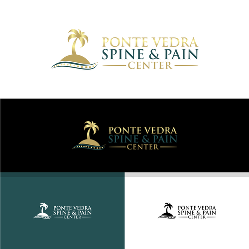 Spine and Pain Medical Practice in Florida Design by rahajuan