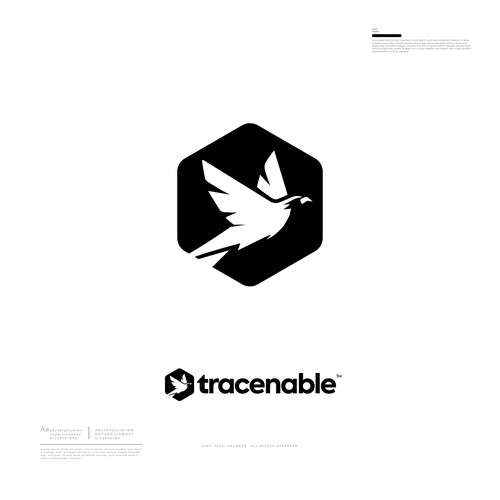 Brand guide for Acme Design by Falenar®