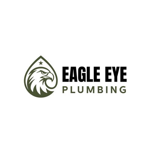 Eye catching and very marketable logo for plumbing company. The company name is Eagle Eye Plumbing Design by Elbes™