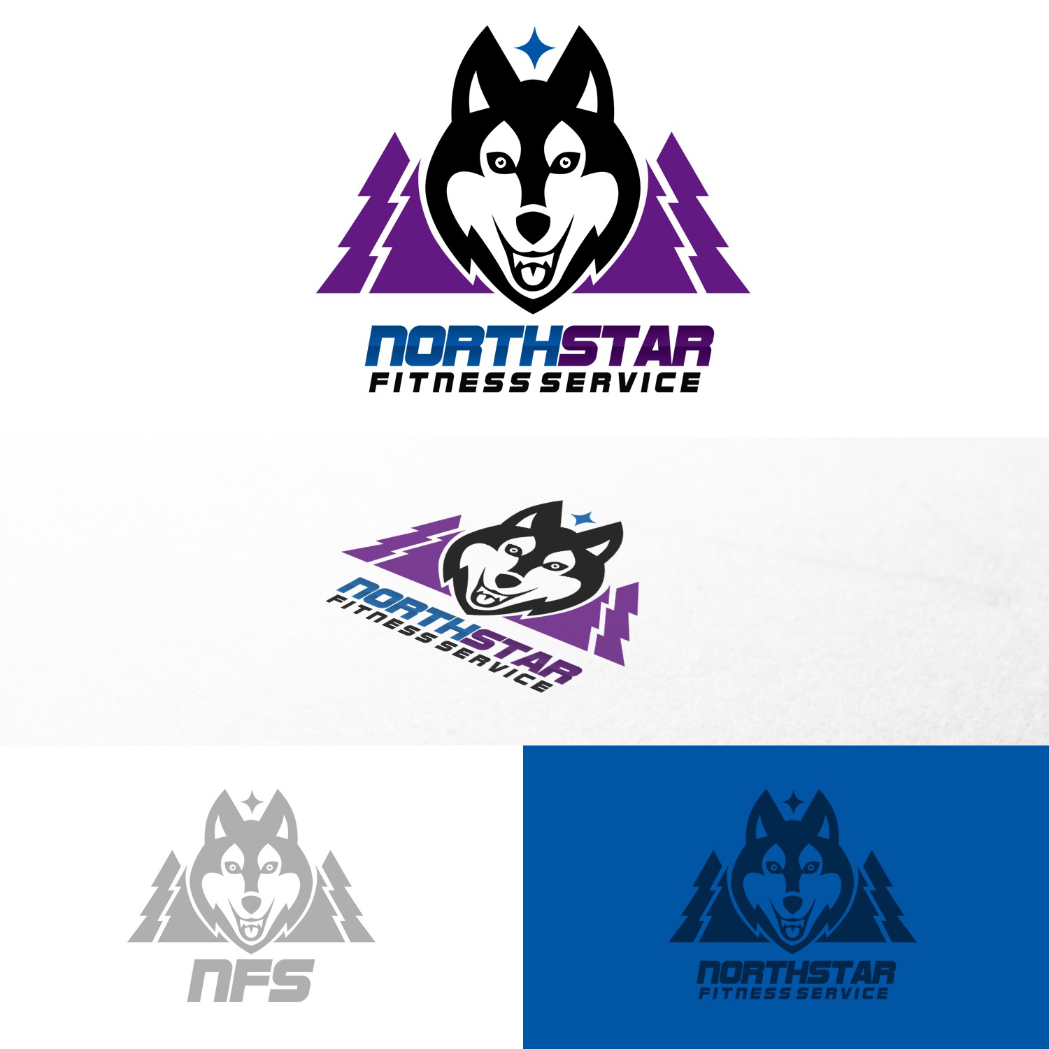 League logo with the title 'NFS  Northstar Fitness Services needs its first logo for a NEW company!'