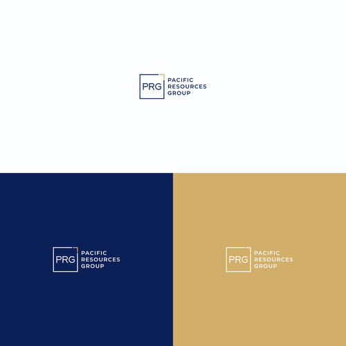 PRG Logo and Brand Guide Design by VolfoxDesign