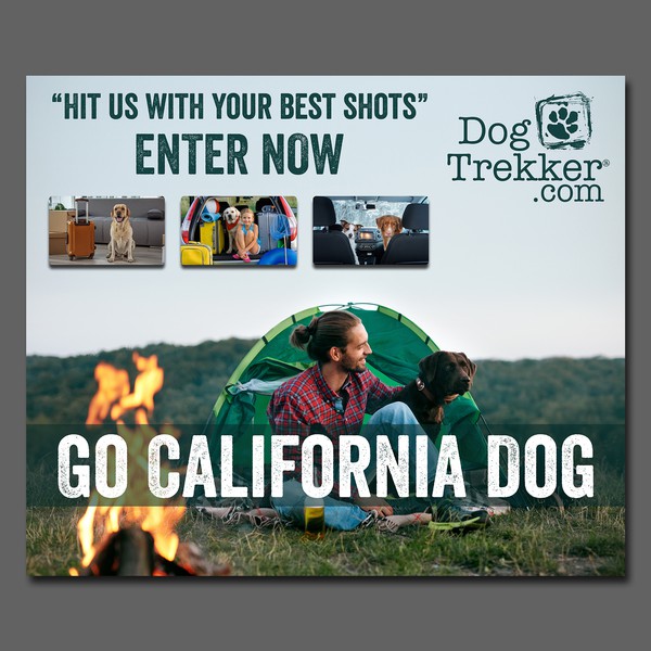 Design realizzato da Rockinrule intitolato "Banner for dog photo contest"