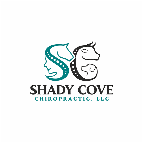 Design by soop titled "SHADY COVE CHIROPRACTIC"