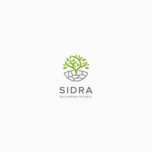 COME DESIGN THE BEST LOGO EVER! FOR SIDRA DEVELOPERS Design by himm.i