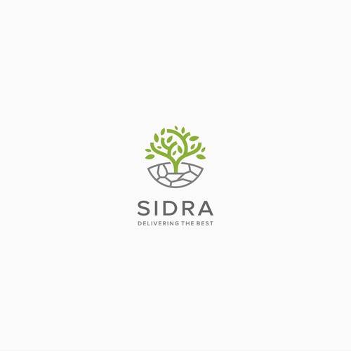 COME DESIGN THE BEST LOGO EVER! FOR SIDRA DEVELOPERS Design réalisé par himm.i