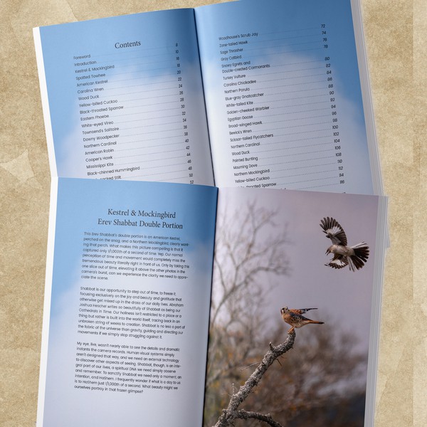 Paper plate restaurant menu redesign! Menu contest 99designs