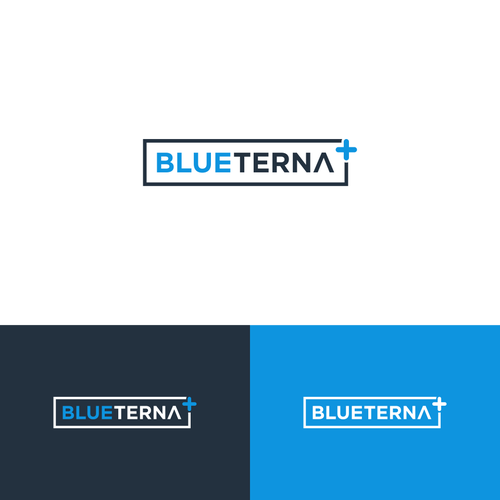 Blueterna Branding contest Design by Lion Black
